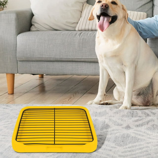 Plateau de Propreté pour Chien Intérieur en Maille, Litière pour Chien, Support de Tapis d'Urine de Toilette, Plateau d'Entraînement pour Chiot, Structure Amovible et Stable, Tapis d'Entraînement pour Animaux