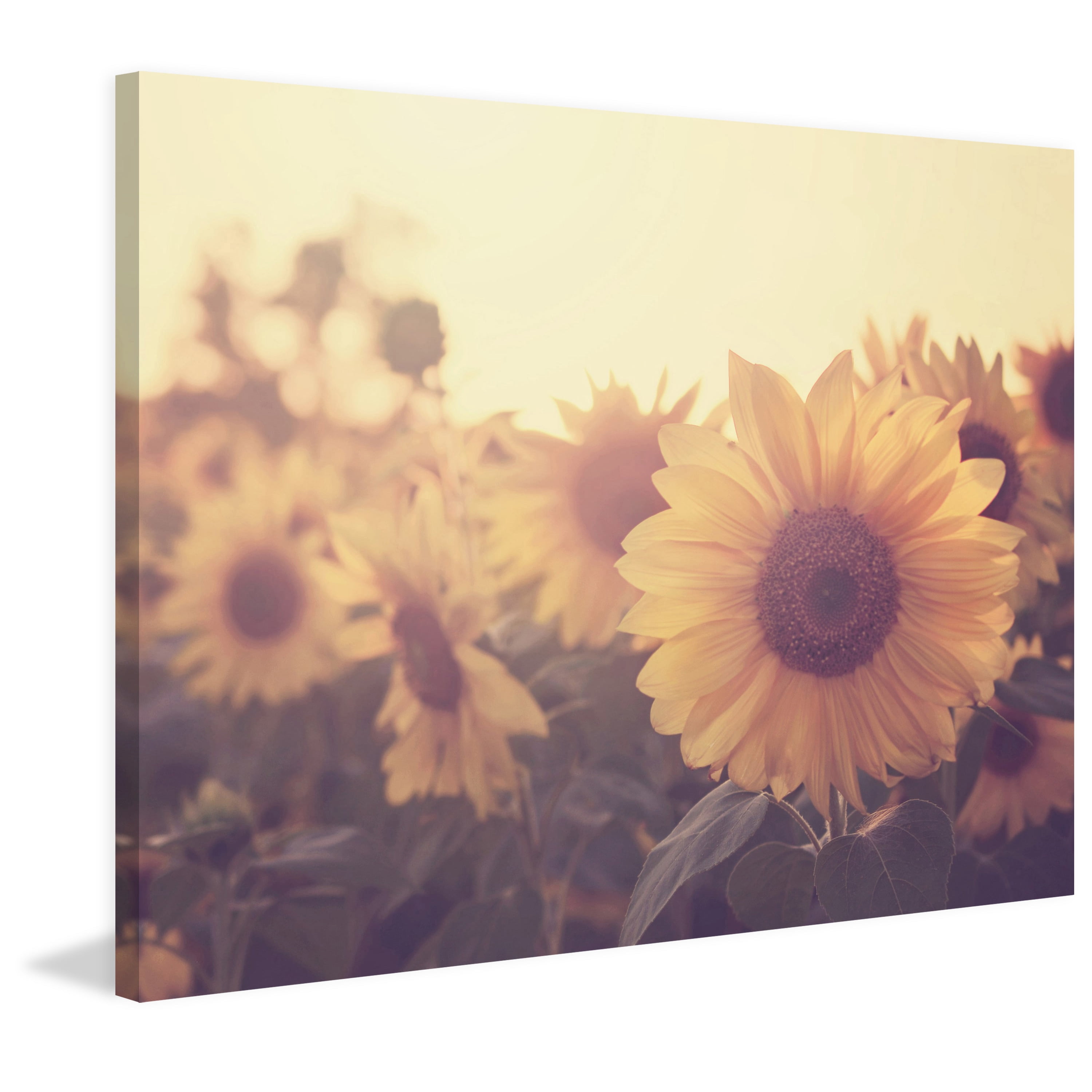 Marmont Hill "Sunflower September" Painting Print on Wrapped Canvas