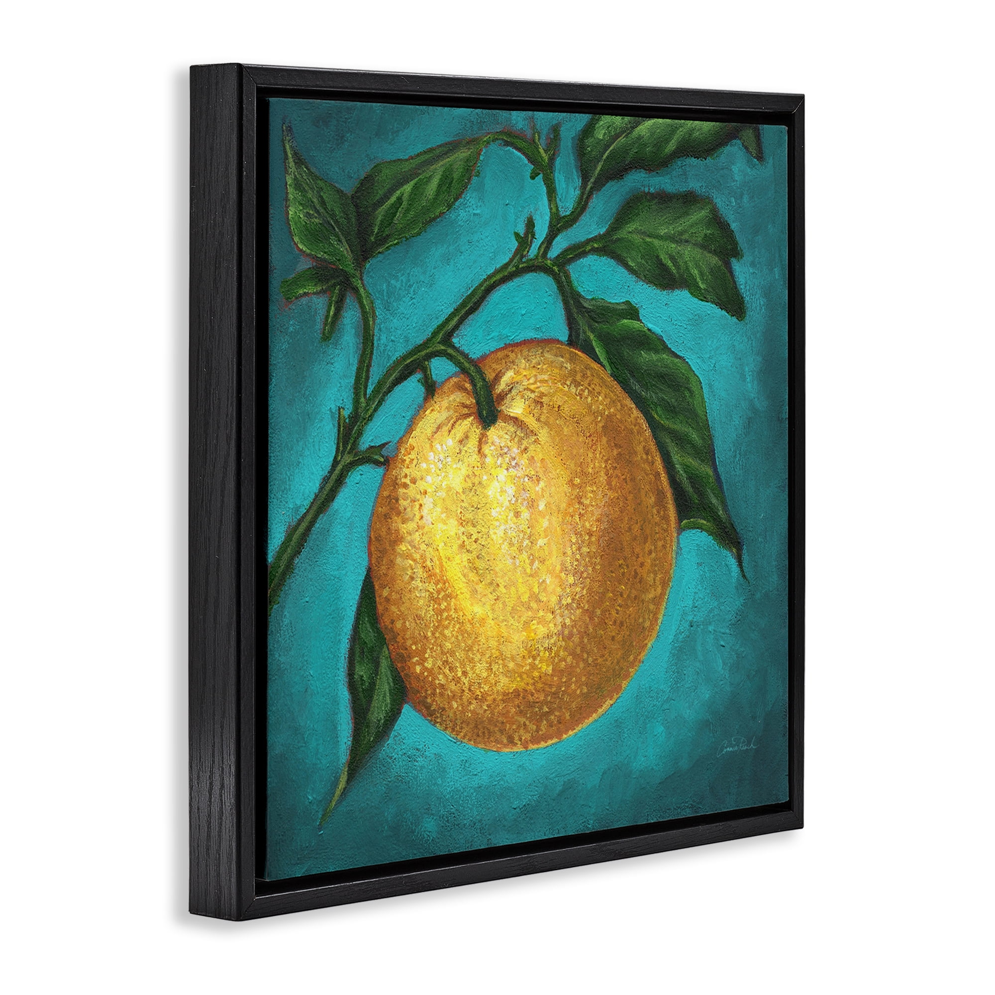 Stupell Industries Citrus Fruit on Branch Food & Beverage Painting Black Floater Framed Canvas Art Print Wall Art, 18 x 18