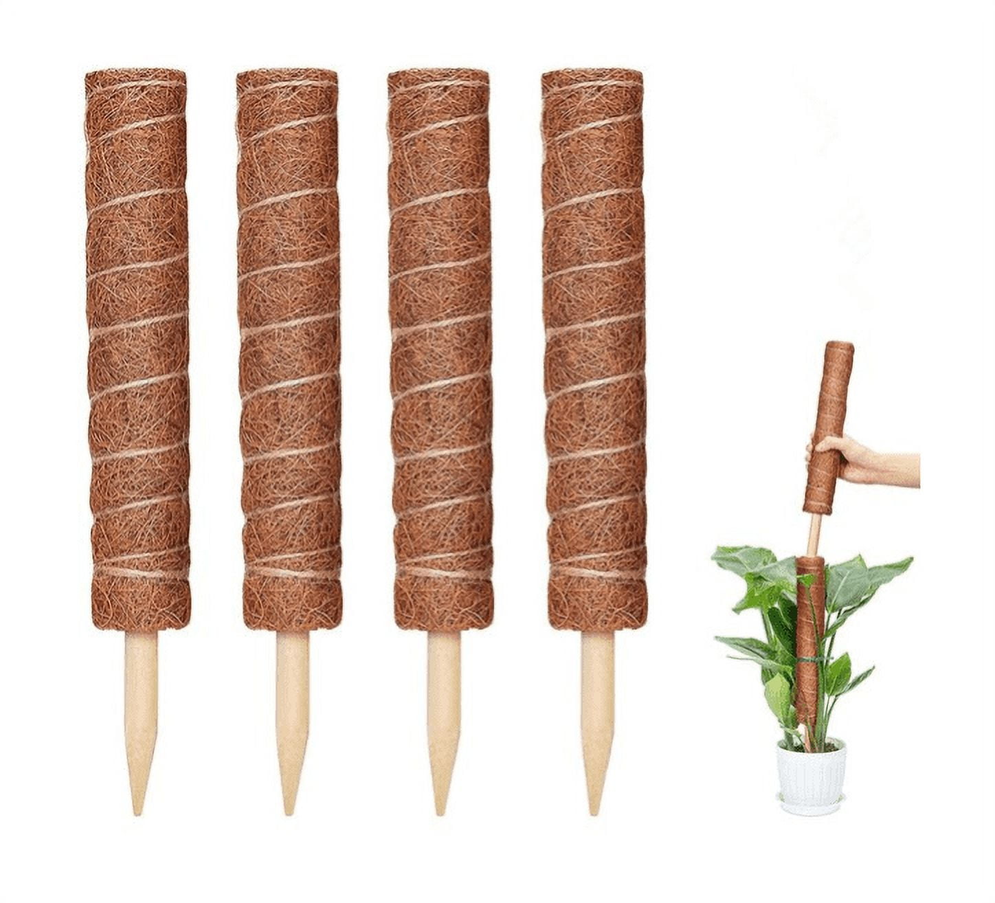 Toxx MOSS STICK 50SW Amazon.com : 3 Pack Moss Pole, 50 Inch Monstera Plant