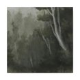 thumbnail image 1 of Mystic Forest Gloom - Canvas, 1 of 10