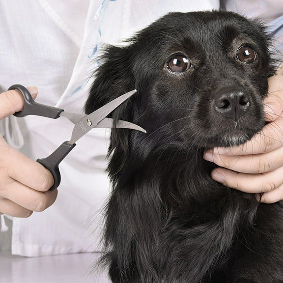 1Set Household Pet Scissors, Pet Grooming Tools, Professional Pet Hair Salon Set