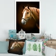 thumbnail image 3 of Designart 'Brown Horse With White Nose Portrait' Farmhouse Framed Art Print, 3 of 4