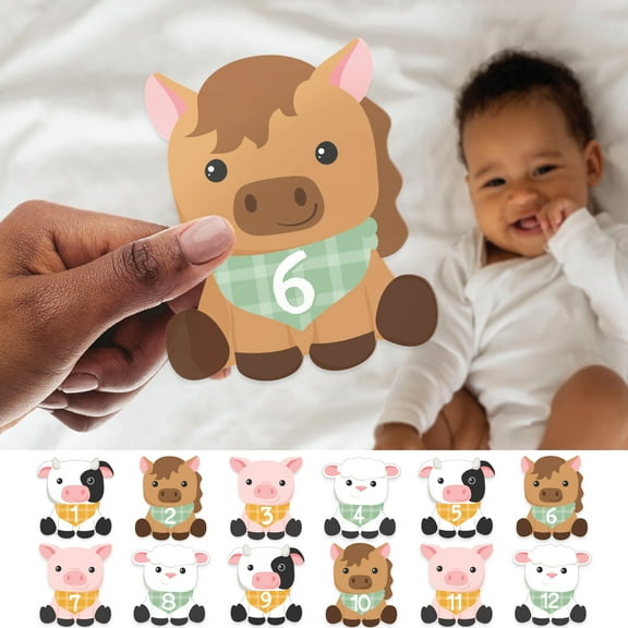 Big Dot of Happiness Farm Animals - Barnyard Baby Monthly Cards - Shaped Acrylic Milestone Markers - Set of 12