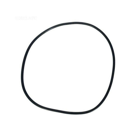 59000600Z Pentair Oring Stand Pipe