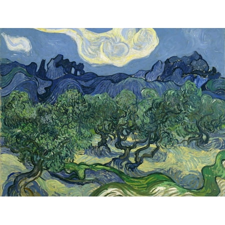 The Olive Trees, 1889 Post-Impressionist Landscape Print Wall Art By Vincent van Gogh