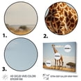 thumbnail image 3 of Designart "Gentle Horizon with Giraffes" Animals Canvas Art Print, 3 of 5