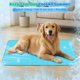 thumbnail image 5 of Tapete Refrescante para Perros para Verano, Tapete Refrescante para Mascotas de 40 x28 in con Látex Suave, Tapete Refrescante Antideslizante para Perros Medianos y Grandes, Lavable a Máquina, Grande, 5 of 8