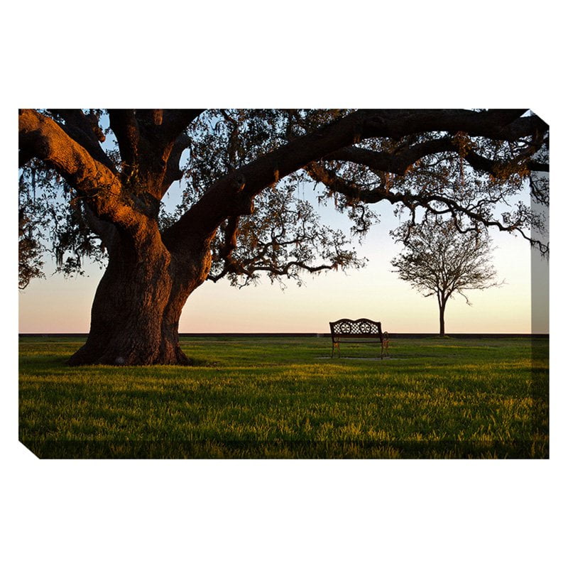 West of the Wind Silent Grandeur Indoor/Outdoor Canvas Art