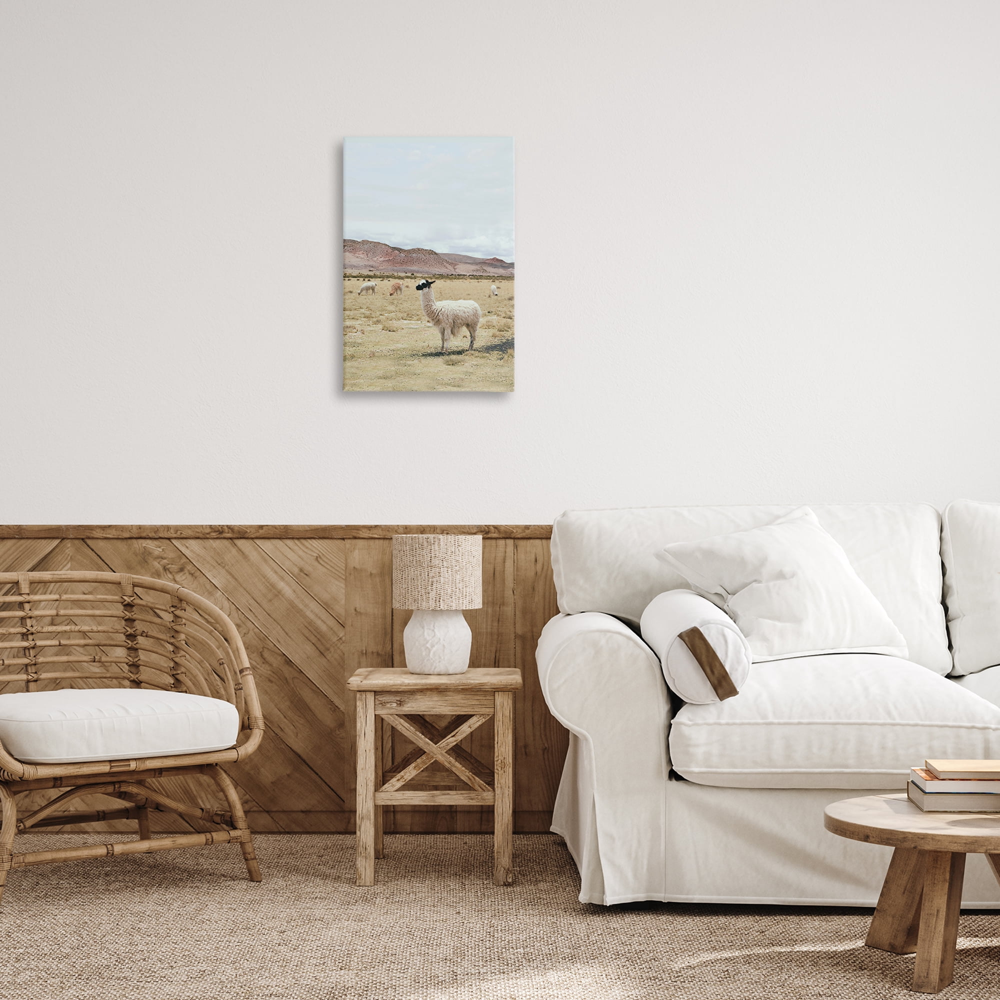 Stupell Industries Wild Alpacas in Desert Animals Photography Wrapped Canvas Art Print Wall Art, 16 x 24