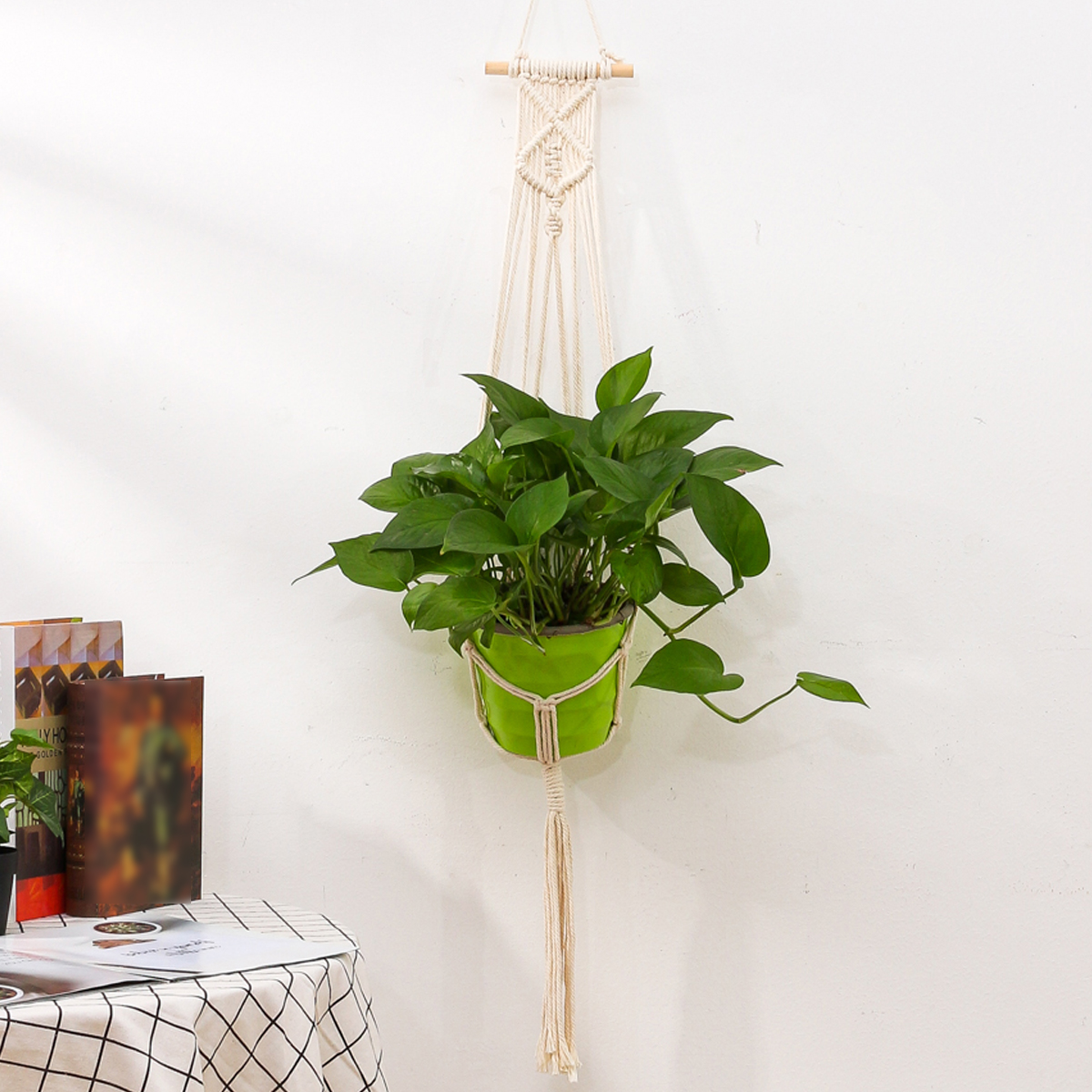 plant decor Handmade decorative indoor plant hammock plant hangerholder