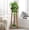30" Tall, variant on Plant Stool Indoor, Teak Stool for Plants, Bathroom Side Table, Mid-Century Style(12" Tall)