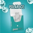 thumbnail image 2 of 2X - EXTRA Gum Polar Ice Sugar Free Chewing Gum Single Pack-1 pk / 15 pc, 2 of 5