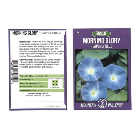 Morning Glory Flower Garden Seeds - Heavenly Blue - 2 Gram Packet - Annual Flower Gardening Seed - Ipomoea