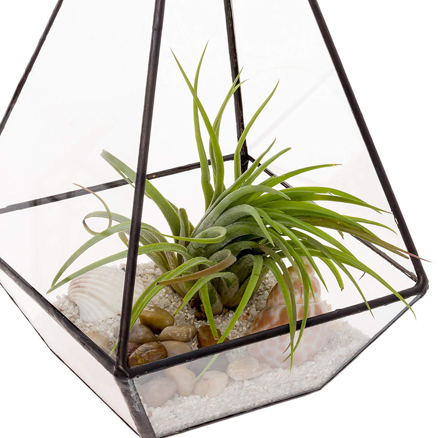 Mindful Design Geometric Large Diamond Desktop Garden Planter Glass Terrarium 
