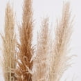 thumbnail image 3 of Tall Faux Pampas Grass | 81” Tall grass in a tall dark planter | Vintage Home, 3 of 7