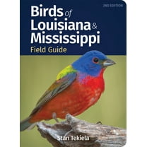 Bird Identification Guides Birds of Louisiana & Mississippi Field Guide, (Paperback)