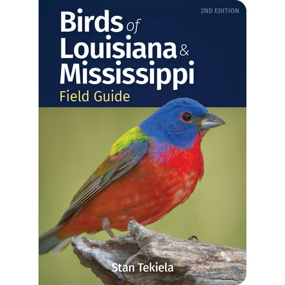 Bird Identification Guides Birds of Louisiana & Mississippi Field Guide, (Paperback)