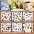 Set of 6 Bird Pun Coasters, Bird Pun Coasters for Drinks, Square