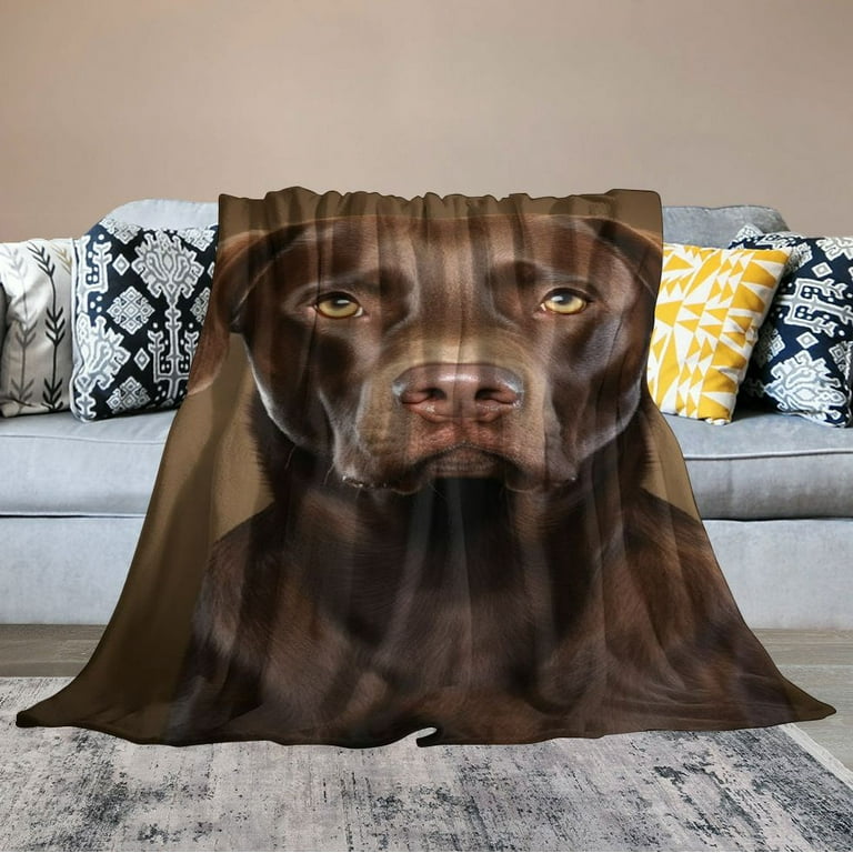 JEUXUS Chocolate Lab Blanket Brown Labrador Dog Print Soft Fluffy Throw