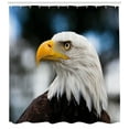 thumbnail image 3 of Ambesonne Eagle Shower Curtain, Freedom United States, 69"Wx70"L, Dark Brown Marigold Blue, 3 of 3