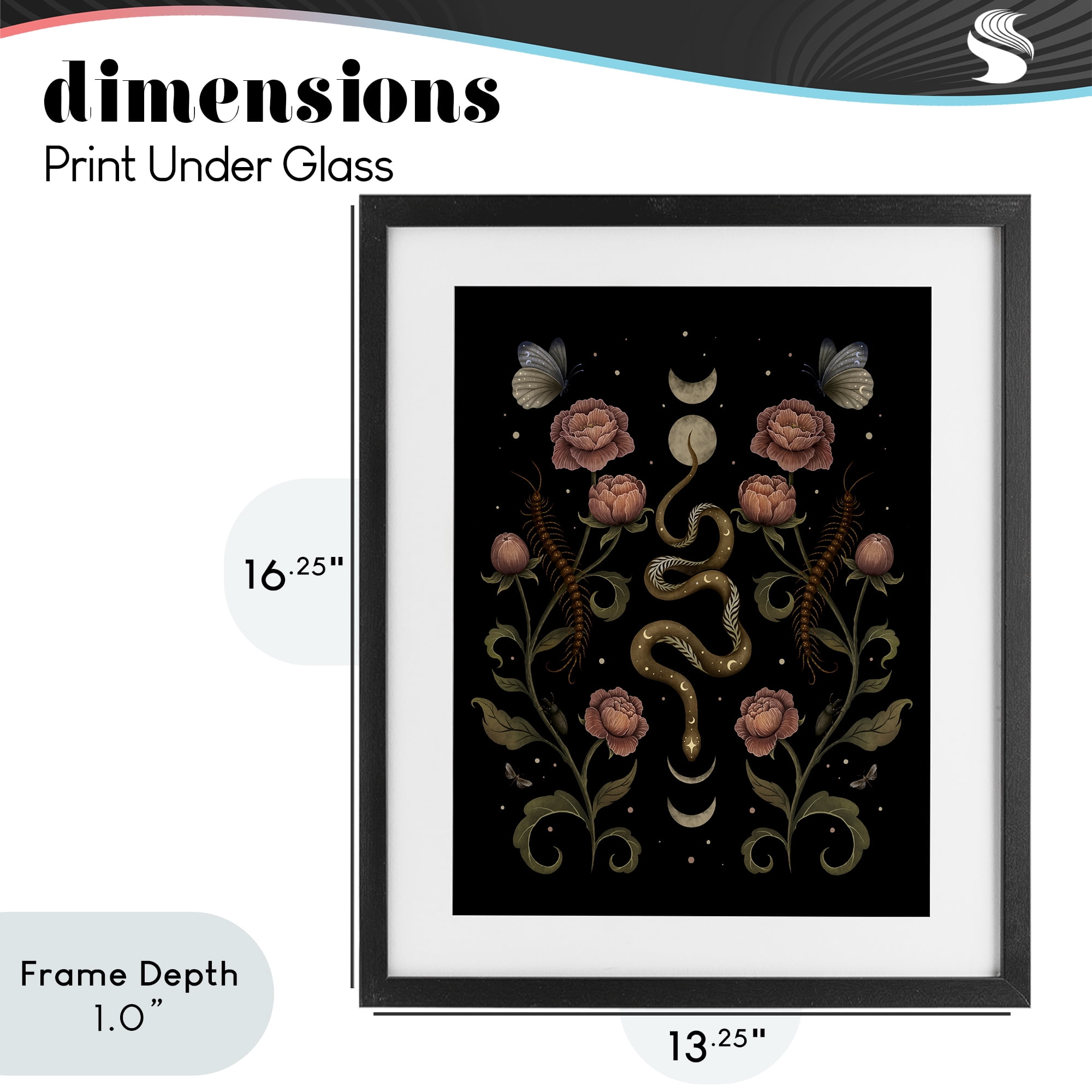 Stupell Industries Serpentine Garden Symmetry Black Framed Print Under Glass, design by Episodic Drawings