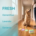 thumbnail image 6 of 100 Piece Multi-Surface Floor Cleaning Tablets – Concentrated Cleaner for Hardwood, Tile, Laminate, Floor Cleaner Tablets, 6 of 10