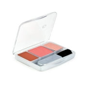 CoverGirl TruCheeks Blush Shade 2, 0.27-Ounce Pan Pack of 3