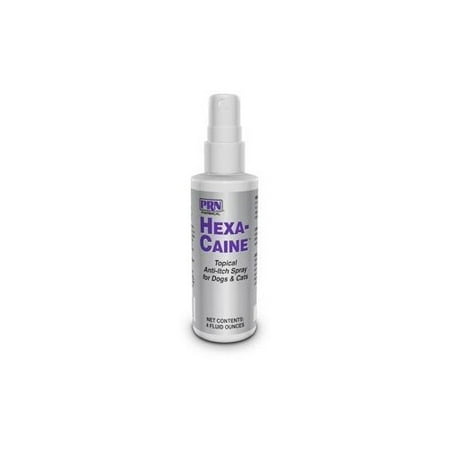 anti itch shoo for dogs hexa caine topical anti itch spray for dogs and cats walmart anti itch shoo for dogs hexa caine topical anti itch spray for dogs and cats walmart
