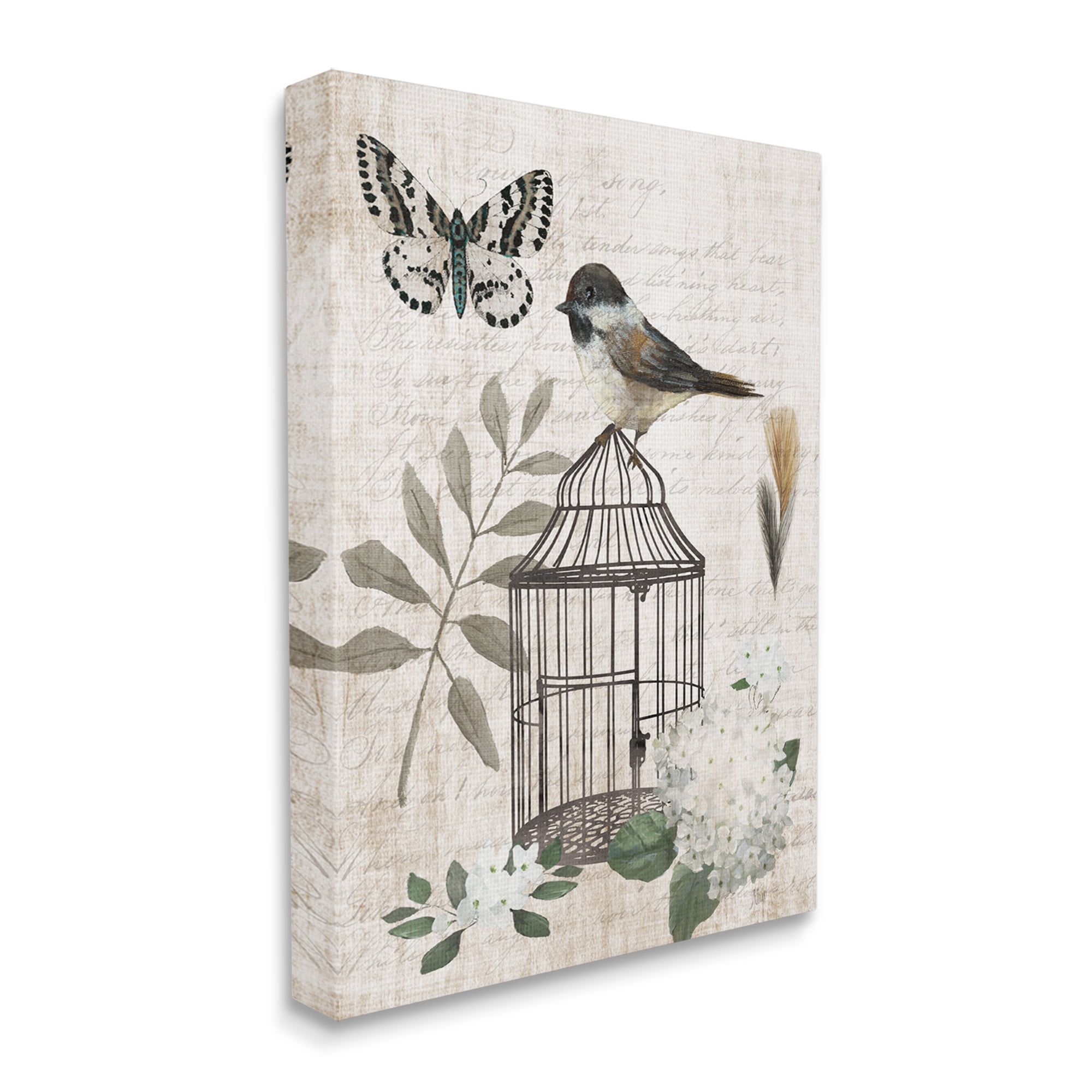 Stupell Industries Botanical Bird Cage Vintage Words Butterfly Motif Graphic Art Gallery Wrapped Canvas Print Wall Art, Design by Nan