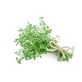 thumbnail image 1 of Thyme Herb Seeds - Non-GMO - 0.5 Grams, Approximately 2,200 Seeds, 1 of 3