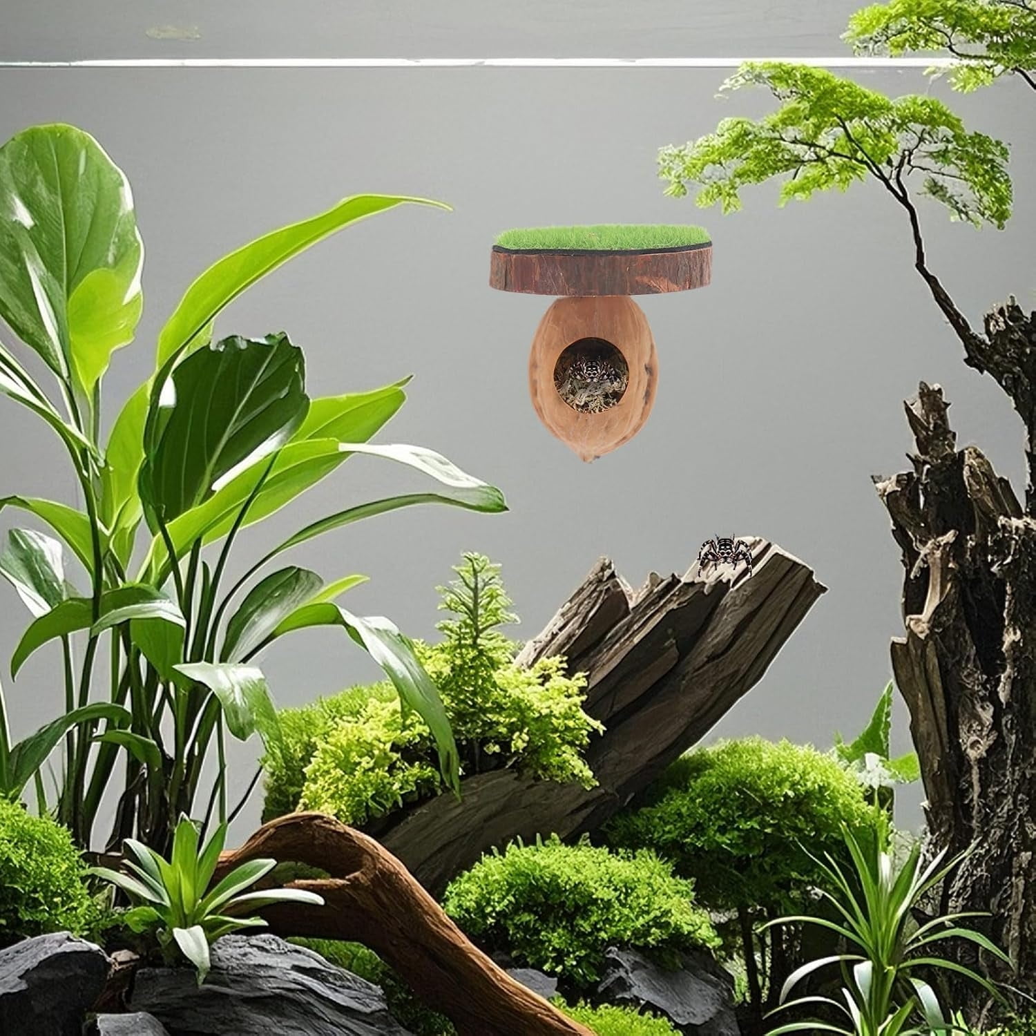 2 Pack Jumping Spider Enclosure Accessories, Magnetic Walnut Hide with Wooden Platform, Plastic Grass Topper, Spider Hideout with Moss for Terrariums