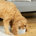thumbnail image 3 of Ceramic Dog Bowl - Heavyweight And Durable Pet Food And Water Dish Crock, Dishwasher Safe, Modern, 3 of 5