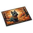 thumbnail image 5 of Carolines Treasures DAC1041JMAT 24 x 36 in. Unisex Coton De Tulear Fall Indoor or Outdoor Mat, 5 of 46