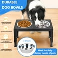 thumbnail image 5 of X XBEN Elevated Dog Bowls, 5 Heights Adjustable Dog Raised Bowl Stand with Two 1000ML Stainless Steel Dog Food and Water Bowls, Pet Bowl Holder to Protect Dogs Joints for Small Medium Large Dog, 5 of 7
