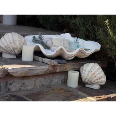 Triton Decorative Shell 10-11