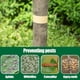 thumbnail image 4 of Cinta Protectora Insectos en Árboles, Cinta Protectora para Cigarras, Cinta Adhesiva para Proteger Árboles de Insectos Rastreros., 4 of 6