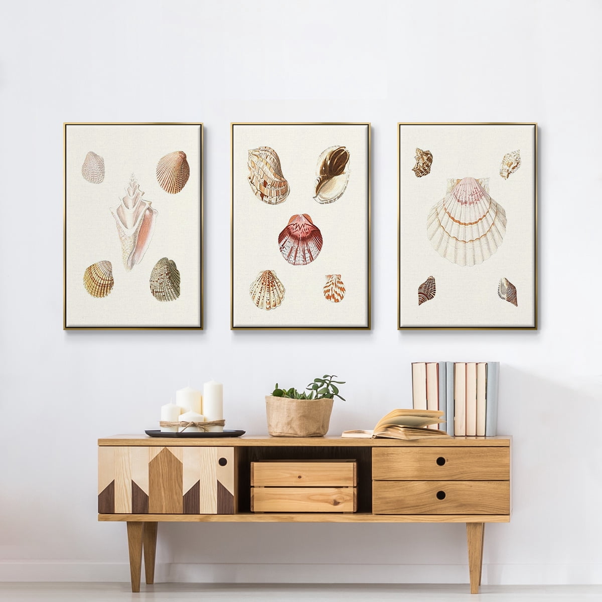 Pastel Knorr Shells IV - Framed Premium Gallery Wrapped Canvas L Frame 3 Piece Set - Ready to Hang