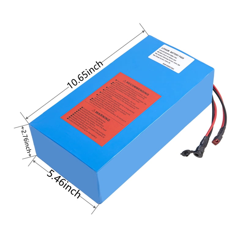 48V 20Ah Lithium Ebike Battery for 1000W Electric Bike, Scooter Motor with  30A BMS Charger - Walmart.com