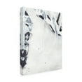 thumbnail image 2 of Joyce Combs 'Fire and Ice II' Canvas Art, 2 of 3