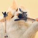 thumbnail image 4 of Juguetes para Gatos Ganfancp Catnip Crinkle Sonido Suaves y Robustos Interactivos, 4 of 5