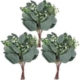 thumbnail image 1 of Nvzi 20 piezas de tallos de hojas de eucalipto artificiales con semillas blancas, flores artificiales cortas de dólar plateado para decoración, tallos de plantas verdes, 1 of 5
