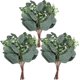 thumbnail image 1 of Nvzi 20 piezas de tallos de hojas de eucalipto artificiales con semillas blancas, flores artificiales cortas de dólar plateado para decoración, tallos de plantas verdes, 1 of 5
