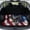 American Flag Bald Eagle, variant on HUISEFOR Red Ladybug Car Trunk Mat 29" x 39" Cargo Mat Rear Trunk Liner Anti Slip Vehicle Interior Accessories Easy Installation Universal Fit for Most Cars