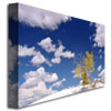 Trademark Art "Clouds and Loneliness" Canvas Art by Philippe Sainte-Laudy