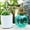 Green, variant on Hohaski 350ml Flower Watering Pot, Spray Bottle Garden Sprayer, Dual-Purpose Plant Mister and Hairdressing Spray Bottle