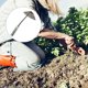 thumbnail image 2 of EeaseMX Azada de jardinería endurecida, de metal y hierro, herramienta para eliminar malezas en plantaciones agrícolas., 2 of 8