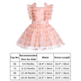 thumbnail image 5 of IBTOM CASTLE Toddler Baby Girls 1st Birthday Outfit Princes Dress with Diaper Cover Lace Ruffles Romper Tutu for Cake Smash Photo Shoot 18-24 Months Light Pink Rainbow, 5 of 8