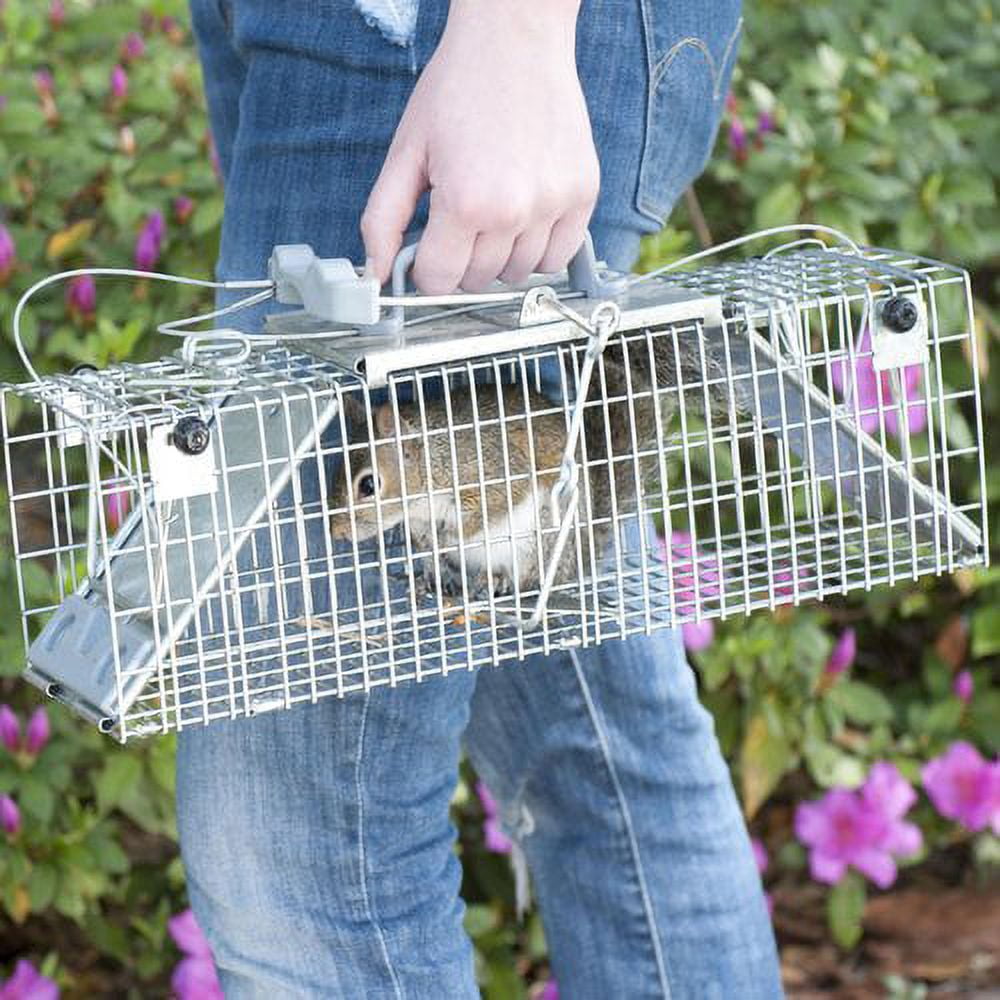 Havahart Live Catch Cage Trap For Chipmunks, Squirrels and Rats