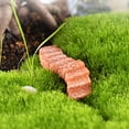 thumbnail image 2 of Miniatura Micro Escaleras Jardín Paisaje Bonsai Decoración Amarillo Sunnimix Miniatura, 2 of 8
